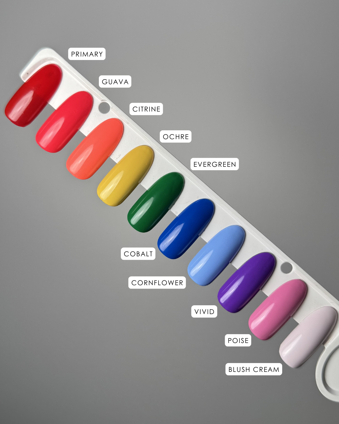 Spectrum Paints Detail Paint Collection