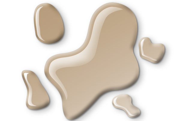 Cat Eye Gel Polish - Silk Veil